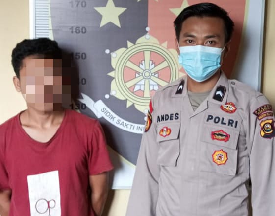 AMANKAN-Tersangka Sudarwira warga Desa Aringin saat diamankan di Polsek Karang Dapo diduga melakukan pencurian buah sawit di lahan milik PT. BSS. Ft ist