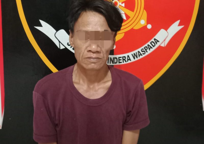 Pelaku tindak pidana pelecehan seksual