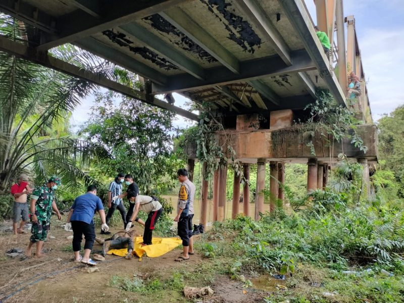EVAKUASI-Anggota Polsek Muara Lakitan, Koramil dan Petugas Puskesmas Muara Lakitan saat melakukan evakuasi mayat di bawah Jemabatan Sungai Lakitan menuju Trans Subur, Rabu (7/9/2022). Ft ist