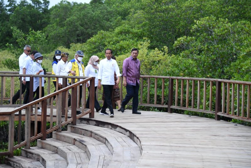 Presiden Jokowi meninjau Tahura Ngura Rai, Denpasar, Bali
