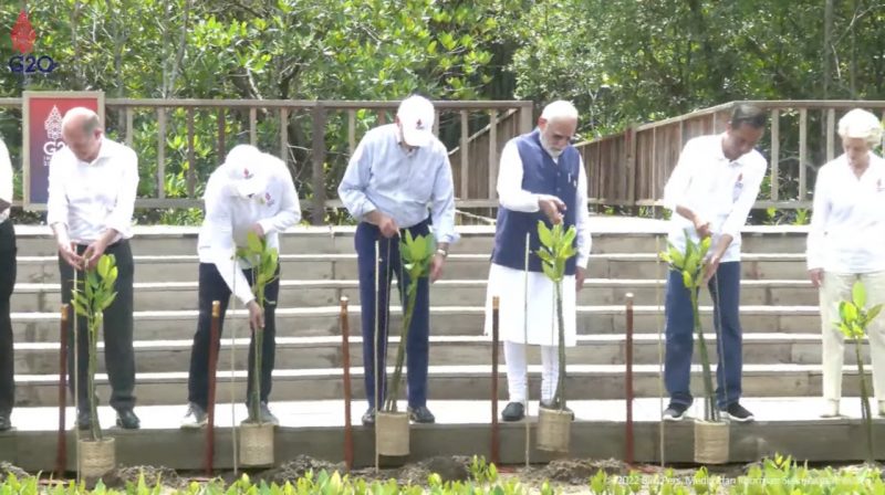Para pemimpin negara G20 meninjau Taman Hutan Raya di Ngurah Rai, Denpasar Bali