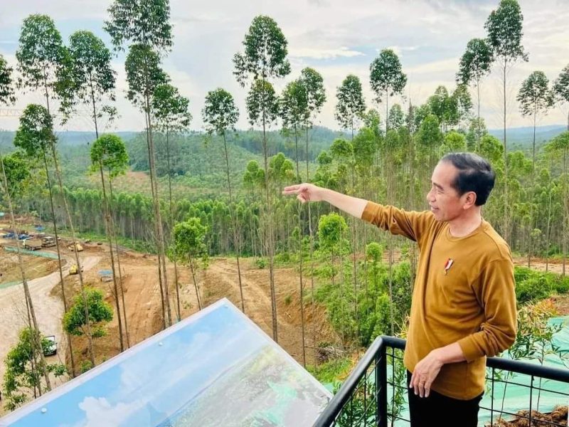 Presiden Joko Widodo meninjau pembangunan istana presiden di Ibukota Nusantara