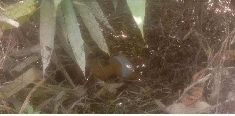 MAYAT- Sesosok mayat tanpa identitas di temukan di semak belukar di Desa Tambangan Kecamatan BTS Ulu Kabupaten Mura Provinsi Sumsel. ft ist