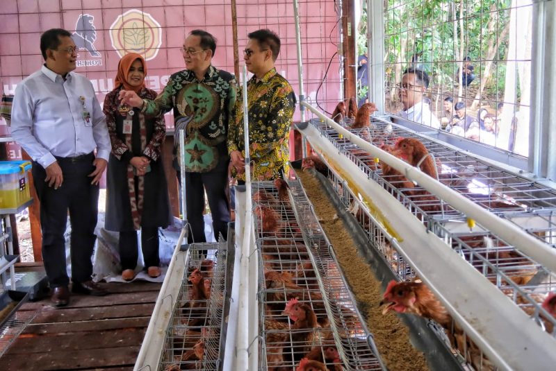 Charoen Pokphand Hibahkan Kandang dan Ayam Petelur Pusat Disabilitas Gunung Kidul