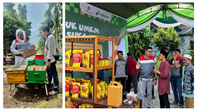Budidaya lebah madu yang dilaksanakan di Desa Suka Maju, Kecamatan Geragai, Kabupaten Musi Banyuasin, Sumatera Selatan.