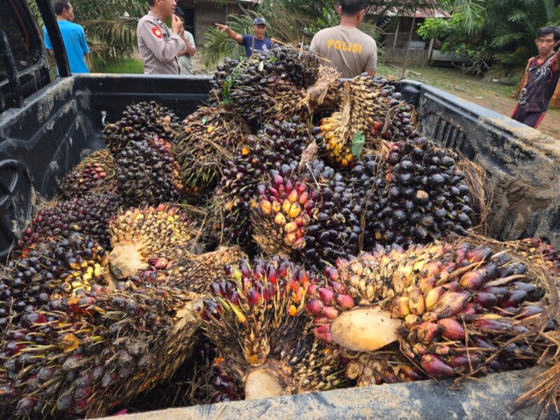 Barang bukti yang diamankan Polsek BTS Ulu 