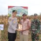 Kapolres Musi Rawas AKBP Agung Adhitya Prananta, S.H., S.I.K., M.H laksanakan Panen Raya Jagung Kuartal IV 2025 di Desa Suro