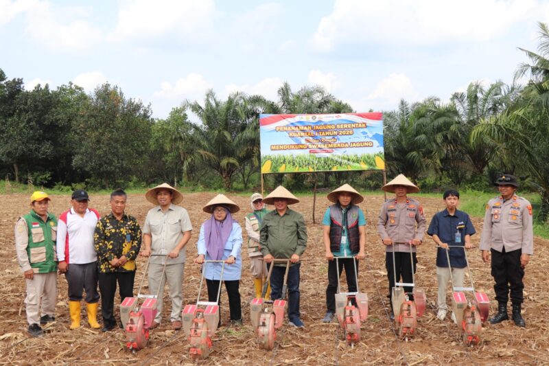 Polres Musi Rawas lakukan Penanaman Jagung Serentak Kuartal I Tahun 2026 guna mendukung swasembada jagung. Kegiatan tersebut berlangsung di Desa Suro, Kecamatan Muara Beliti, Kabupaten Musi Rawas, Sabtu (7/3/2026).