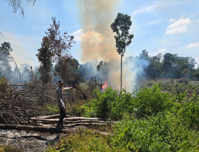 Lahan yang diduga pelaku NA bakar saat membuka lahan perkebunan