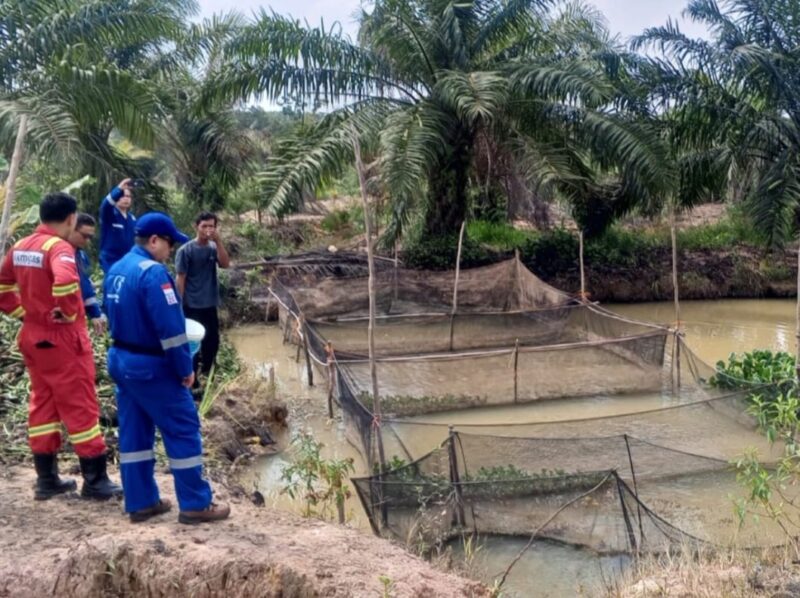 Medco E&P budidaya lele Musi Banyuasin