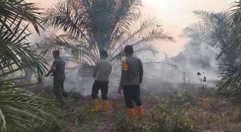 Personil Polsek Muara Lakitan padam api di kebun sawit yang terbakar