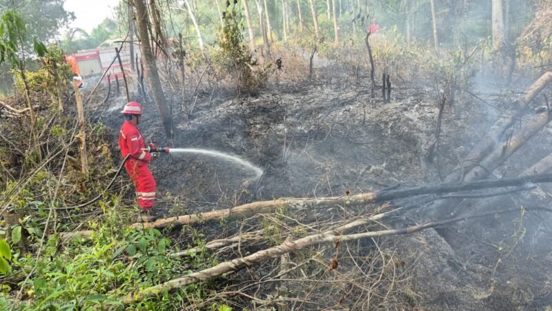 PHR Zona 4 bahu-membahu bersama masyarakat dan berbagai instansi melakukan pemadaman karhutla di seluruh wilayah kerja di Sumatera Selatan.