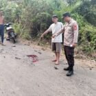 Tempat kejadian perkara (TKP) lakalantas dua sepeda motor di Desa Pelawe, Kecamatan BTS Ulu Cecar, Kabupaten Musi Rawas
