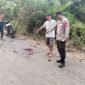Tempat kejadian perkara (TKP) lakalantas dua sepeda motor di Desa Pelawe, Kecamatan BTS Ulu Cecar, Kabupaten Musi Rawas 