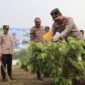 Kapolres Musi Rawas AKBP Gokma Uliate Sitompul lakukan penanaman pohon melalui program Green Policing untuk jaga lingkungan dan lestarikan alam