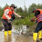 Medco E&P Grissik Ltd lakukan pengawasan terhadap pertumbuhan 22.000 mangrove yang di tanam sejak 2024 lalu di Banyuasin